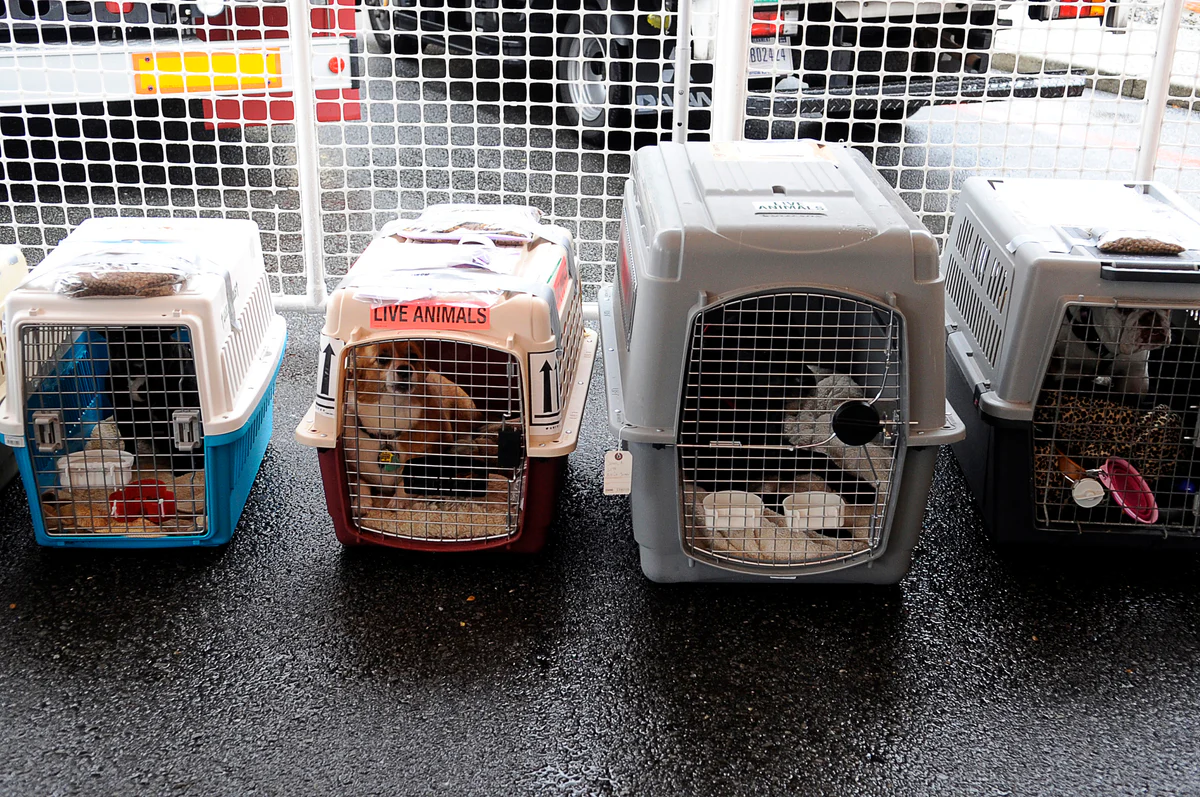 live animal delivery Active Shippers